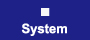 System