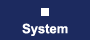 System